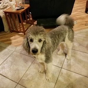 Meet your Posher, Michaelina